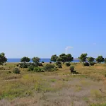 By The Sea - 4162 Apartment Rogoznica (Sibenik-Knin)