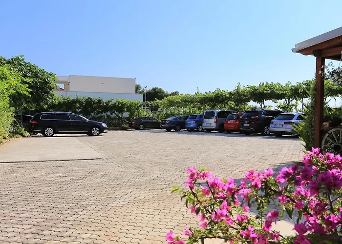 By The Sea - 4162 ロゴズニッツァ